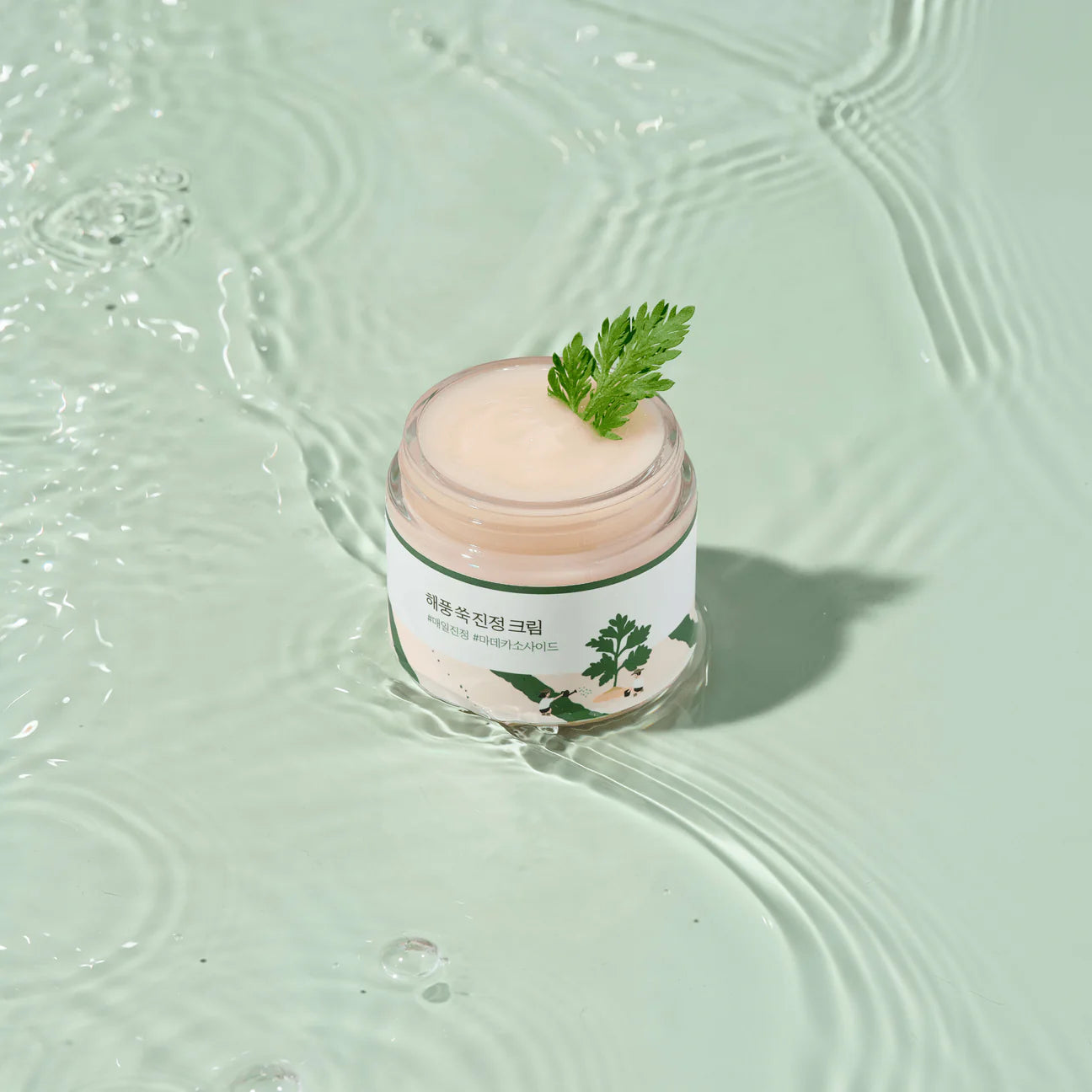 Round Lab Mugwort Calming Cream